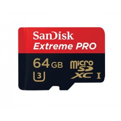کارت حافظه Sandisk Micro SD 64GB - 100MBs (667x)